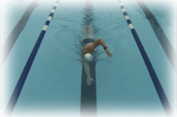 спортивное плавание
